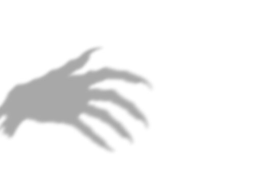 A sharp and scary monster hand shadow cast on a clean white surface representing a spooky creature claw isolated on a simple transparent background