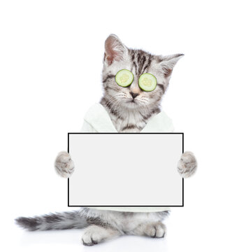Funny kitten with slices of cucumber o it eyes wearing bathrobe  standing on hind legs and holding blank white board. Empty space for text. Isolated on white background
