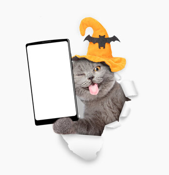 Happy winking cat with tongue out wearing hat for halloween holding big smartphone with white blank screen in it paw and looking through torn white paper hole. Empty free space for mock up