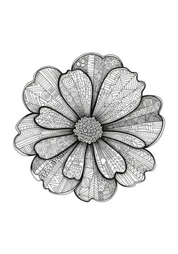 Patterned daisy flower zentangle doodle illustration
