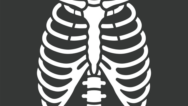 Human rib cage skeletal vector graphic illustration featuring bold white lines against dark grey background backdrop