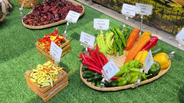 Various chili pepper species are displayed in open containers on a table. Each variety is clearly labeled with its name, making it easy for exhibition visitors to identify them.