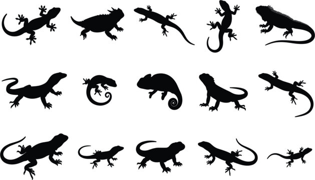 Lizards and reptiles silhouette vector icon grid with gecko and chameleon symbols
