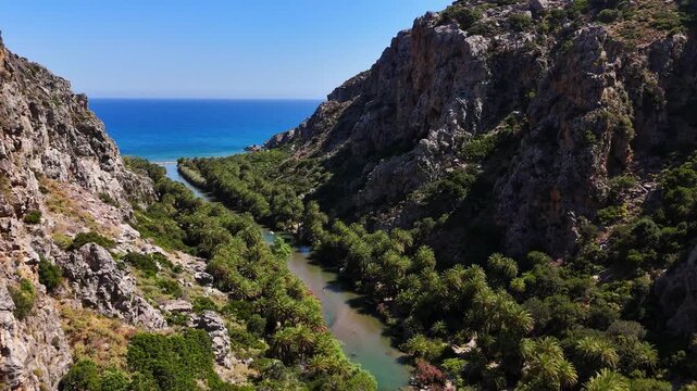 Kourtaliotis River flows through Preveli Gorge beneath limestone cliffs and Cretan date palms near Agios Vasileios, Rethymno, Crete, Greece, Europe, drone forward flyover