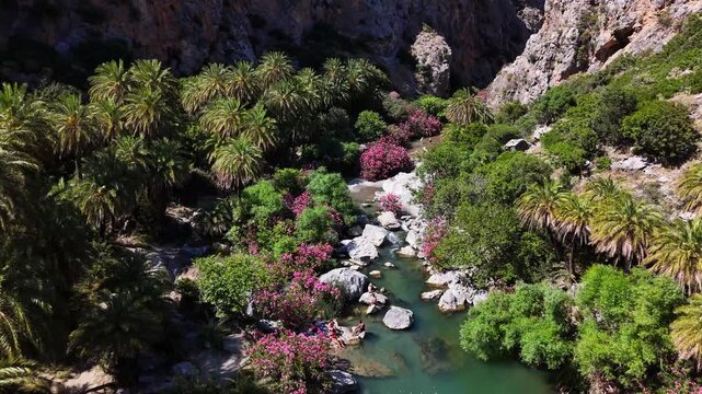 Kourtaliotis River winds through Preveli Gorge beneath rocky cliffs and Cretan date palms near Agios Vasileios, Rethymno, Crete, Greece, Europe, drone forward flyover