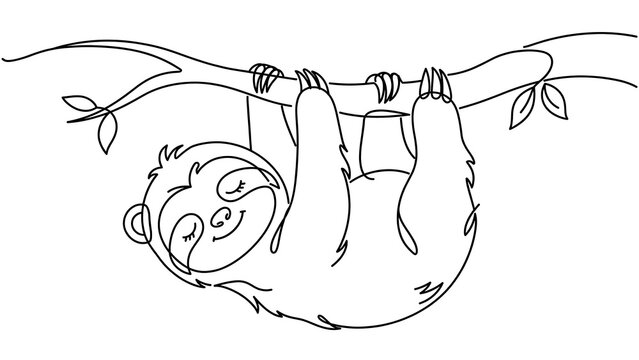 Sloth hanging upside down white background.
