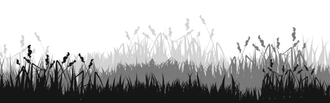 Meadow silhouette with grass, plants on plain. Panoramic summer lawn landscape with herbs, various weeds. Herbal border, frame element. Black horizontal banners. Vector illustration