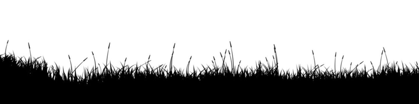 Meadow silhouette with grass, plants on plain. Panoramic summer lawn landscape with herbs, various weeds. Herbal border, frame element. Black horizontal banners. Vector illustration