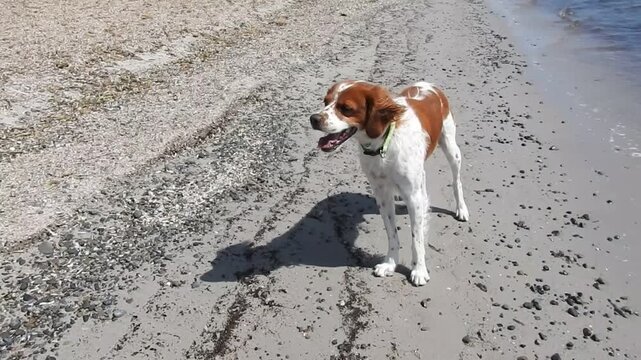 Al mare