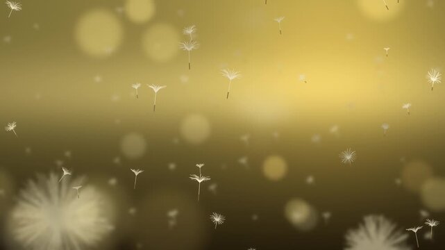 Dandelion Seeds Drifting on the Breeze Over a Soft Focus Meadow Seamless Loop in bright olive tones