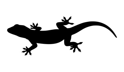 Obraz premium Closeup House Lizard Silhouette Icon Black Vector Illustration