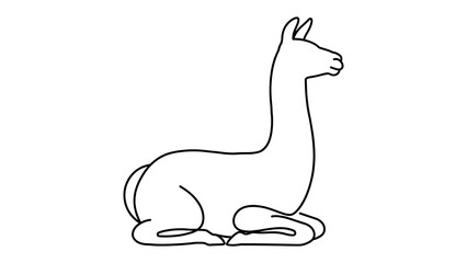 Obraz premium Llama sitting white background.