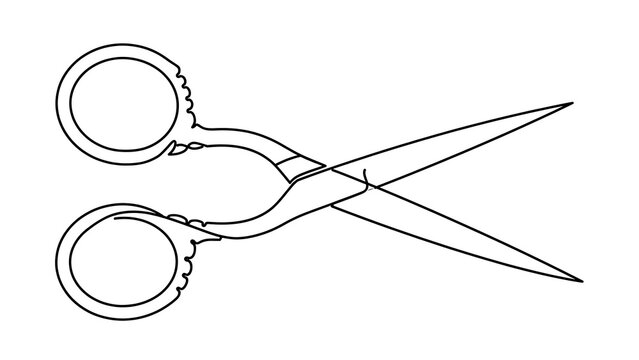 Scissors on white background.