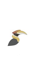 illustration of a rangkong bird © Maul