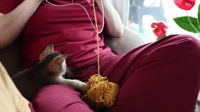 Kitten plays with orange yarn while a knitter sits on a cozy couch in slow knitting mood