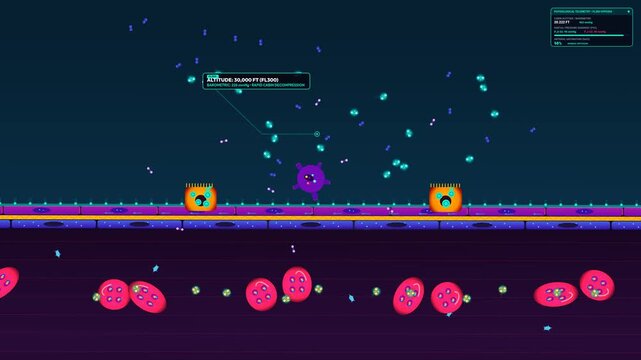 Educational 2D animation illustrating alveolar hypoxia and reverse diffusion during rapid cabin decompression showing oxygen moving from blood to alveoli causing systemic anoxia