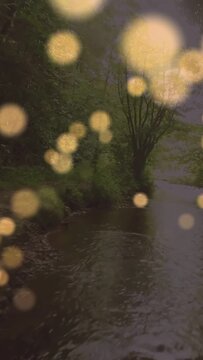Vertical video: Slight shift starting golden orbs drifting across river revealing small tree