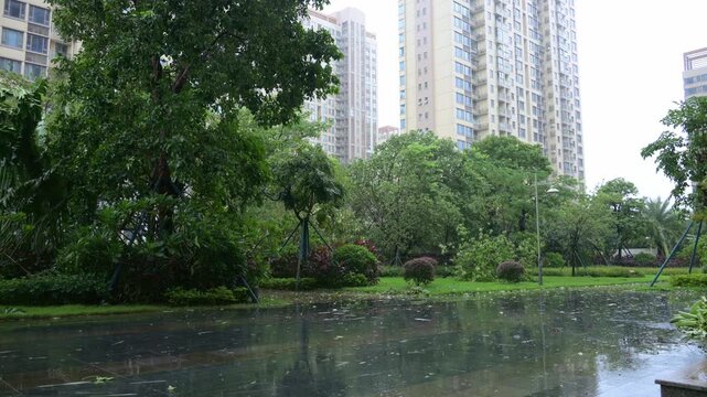 Residential community garden in heavy wind and rain video with sound
