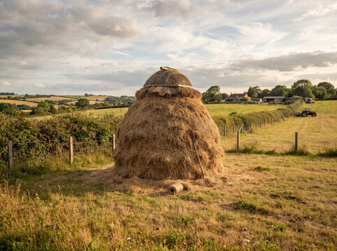 Traditional thatched haystack in a beautiful countryside farm landscape at sunset