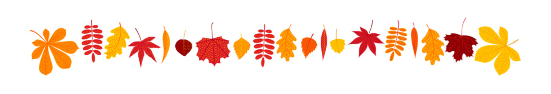 Colorful autumn leaves from different trees border illustration isolated. Vibrant fallen leaves, red, golden foliage. Decorative element, clip art for seasonal, Thanksgiving design. Hand drawn vector