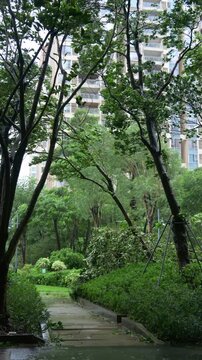 Residential garden pathway as wind and rain subside, sky gradually brightening video with sound
