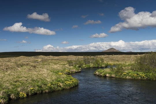 Laxa, Salmon River, Myvatn or M&yacute;vatn, Iceland