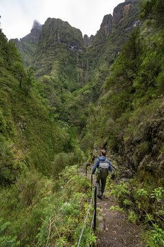 Hikers on a narrow path along a levada, forested mountains and ravines, Levada do Caldeir&atilde;o Verde, Parque Florestal das Queimadas, Madeira, Portugal