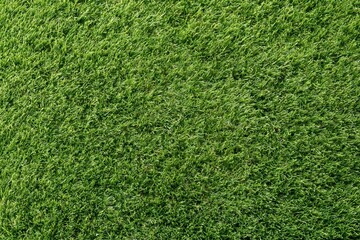 Obraz premium The Verdant Grass Closeup of Lush Green Turf Texture for Landscape