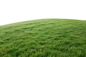 Fototapeta premium The Green Hill Covered in Lush Grass Under Bright Sky