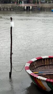 Hoi An, Da Nang, Vietnam - River Journey Through the Jungle on a Round Coconut Basket Boat, Brown River Waters, Traditional Vietnamese Hats, Overcast Rainy Weather, Authentic Round Boats, Exploring 