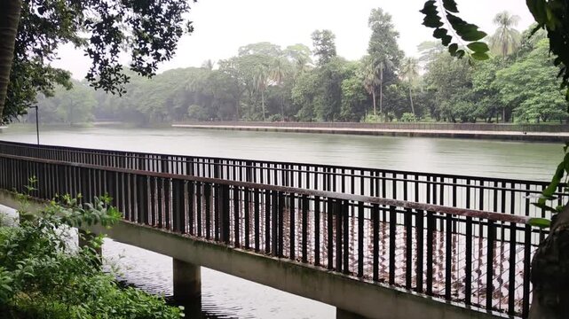 Scenic park bridge on a cloudy day overlooking a peaceful lake surrounded by lush green trees and foliage showcasing tranquil natural beauty in outdoor setting.