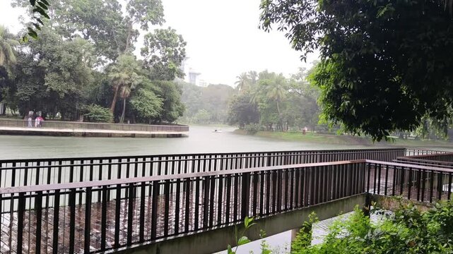 Wooden bridge walkway over calm river in lush green park with tall tropical trees and cityscape in distance on cloudy day showing peaceful urban nature scene.
