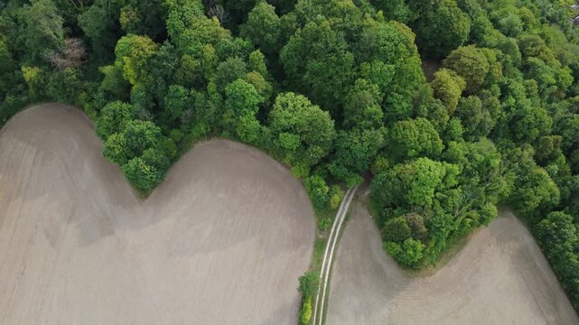Aerial Drone Shot of Dambach-La-Ville, France. Showing Fields and Forest with a Small Road Cutting Through the Landscape Offering a Serene and Scenic View.