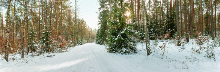 Zima na Mazurach w północno-wschodniej Polsce. © Janusz Lipiński
