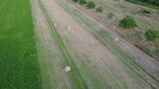 Aerial drone view of agricultural fields with hay bales near Dambach-La-Ville, France. Tracking shot over rural farmland in European.