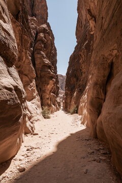 Majestic Petra Ruins of Ancient Jordan: Sunlit Sandstone Carvings and Timeless Nabatean Architecture