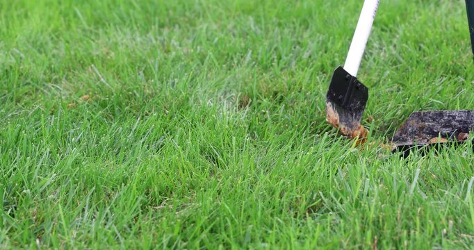 Cleaning Pet Waste From Green Lawn, A person uses a long handled metal scooper to efficiently remove pet waste from a lush green residential backyard lawn during a daily chore