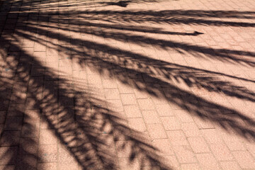Complex patterns of natural light and shadow on paving stones © Javier