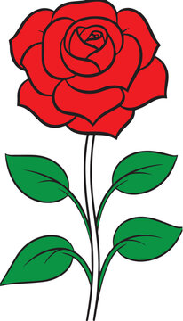 red rose vector illustration