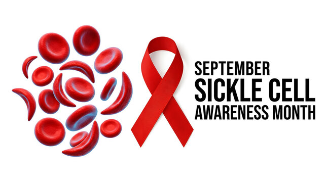 September sickle cell awareness month with red blood cells