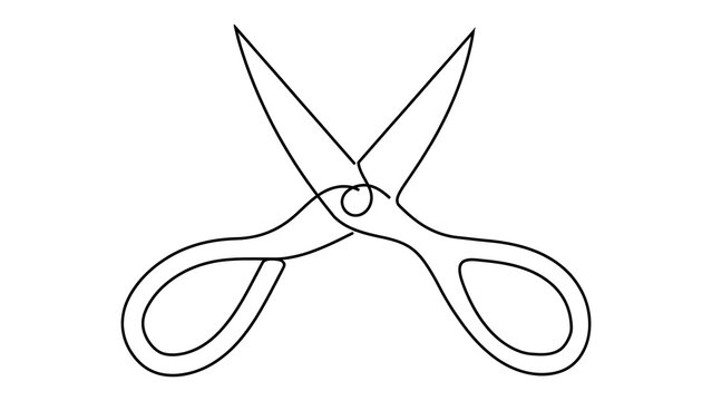 Scissors white background.