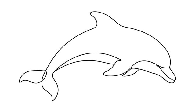 minimalist dolphin line art on white background.