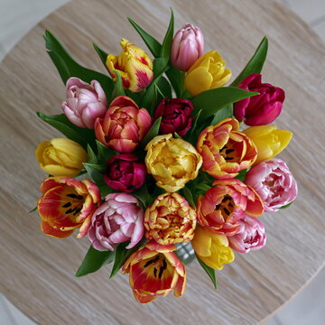 Lively Arrangement of Vibrant Orange and Pink Tulips in a Rustic Terra-Cotta Vase Enhancing a Warm Spring Atmosphere
