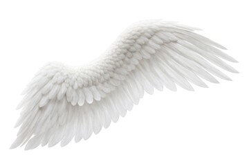 Obraz premium Elegant white angelic wings illustration.