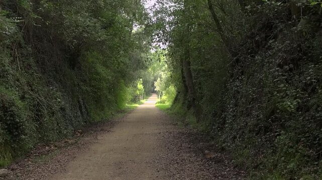 Countryside dirt path road defile gap notch cliff mountain nature sunlight