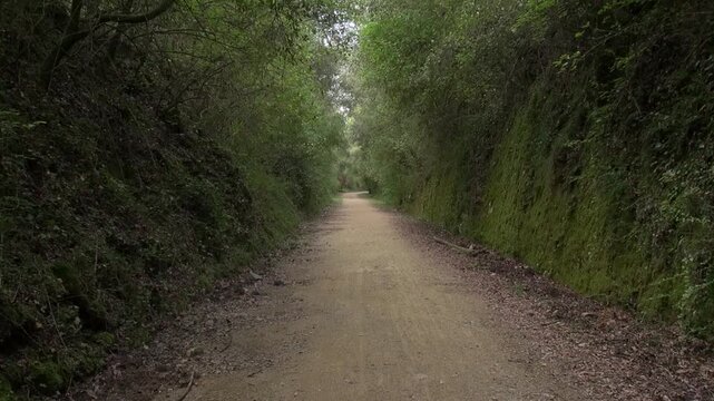 Countryside dirt path road defile gap notch cliff mountain nature bend