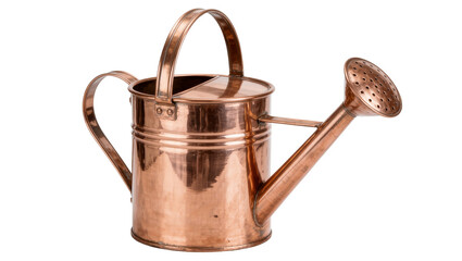 Polished copper watering can with a long spout and perforated rose, isolated on transparent background © Nolan