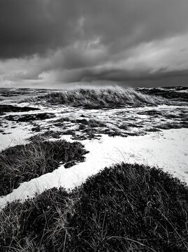 Dune meadow covered with snow under a cloudy sky