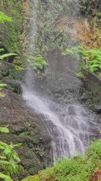 Plano vertical enfocado en la ca&iacute;da del agua de la cascada de Los Tilos sobre las rocas musgosas en el bosque de La Palma.