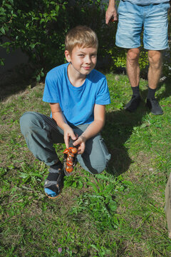 A young boy squats in a sunny garden holding flower bulbs on a trowel, participating in seasonal planting. This image represents nature education, outdoor hobbies, and sustainable lifestyle.